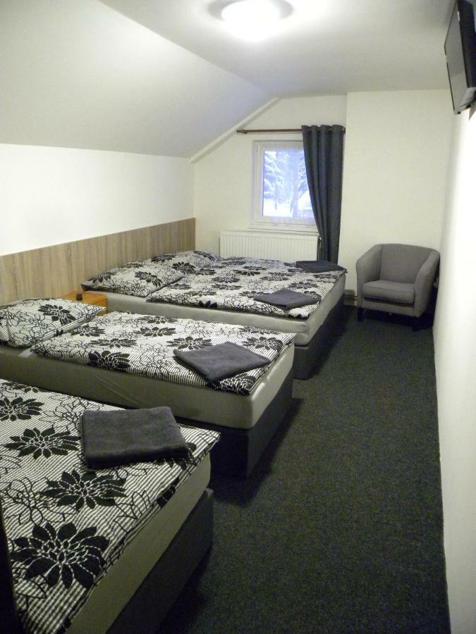 Penzion Karolina Lučany nad Nisou エクステリア 写真
