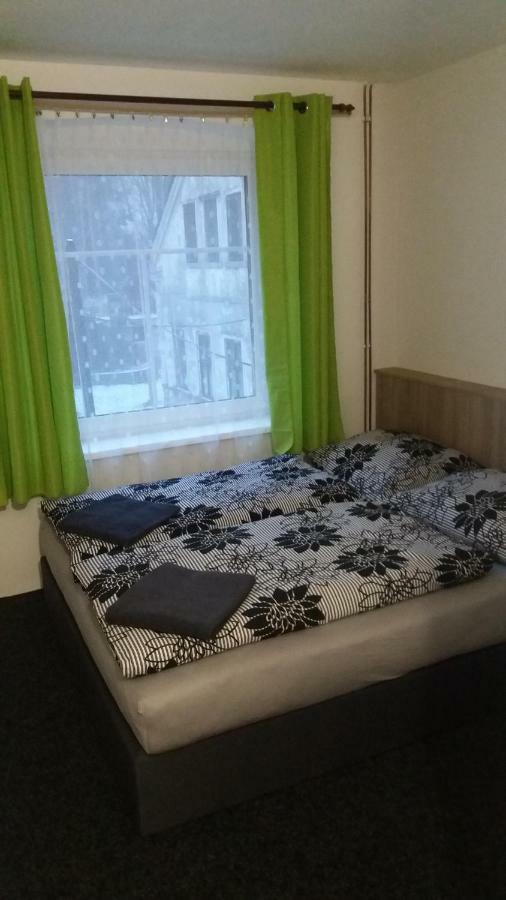 Penzion Karolina Lučany nad Nisou エクステリア 写真