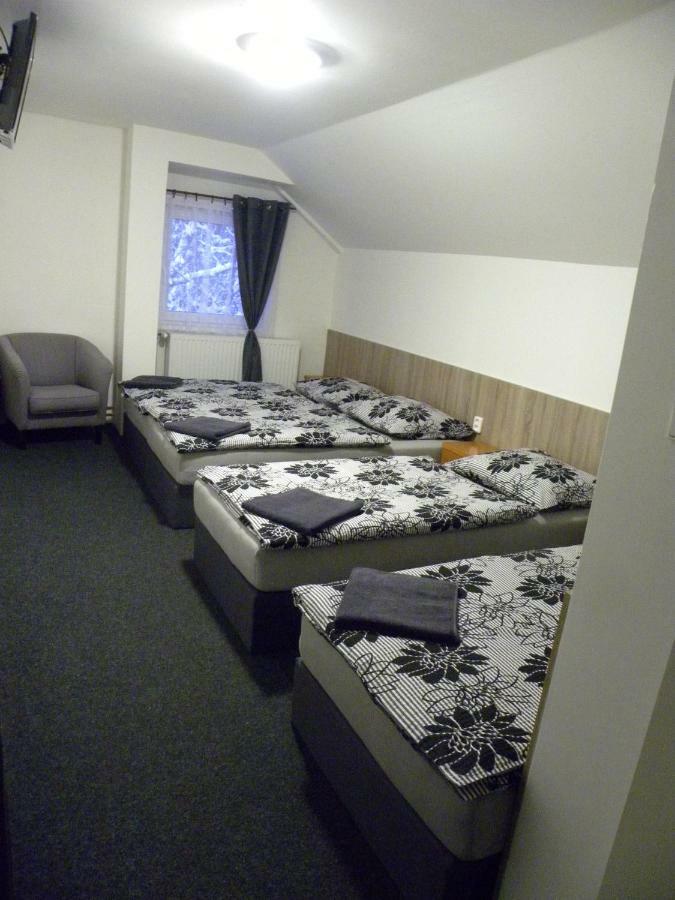 Penzion Karolina Lučany nad Nisou エクステリア 写真
