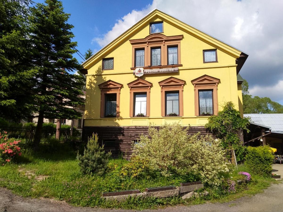 Penzion Karolina Lučany nad Nisou エクステリア 写真
